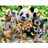 Puzzle 300 pièces XXL : Le selfie des animaux sauvages - Ravensburger