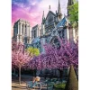 Puzzle 1000 Premium Plus : Cathédrale Notre-Dame de Paris - Trefl