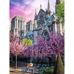Puzzle 1000 Premium Plus : Cathédrale Notre-Dame de Paris - Trefl