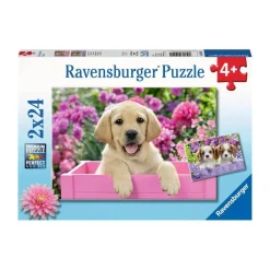 Puzzle 2 x 24 pièces : amis tout doux - Ravensburger