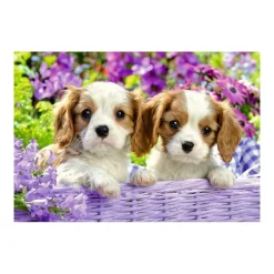 Puzzle 2 x 24 pièces : amis tout doux - Ravensburger