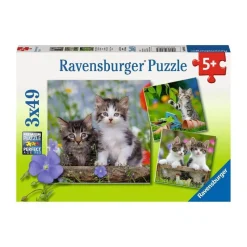 Puzzle 3 x 49 pièces : chatons tigrés - Ravensburger