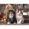 Puzzle Compact 1000 pièces : Adorables chatons - Clementoni