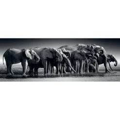 Puzzle Panorama 1000 pièces : Troupeau de Géants - Clementoni