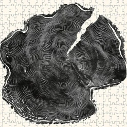 Puzzles 3 x 300 pièces : Gravures de bois - Galison