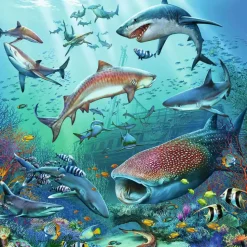 Puzzles 3 x 49 pièces : Le monde animal de l'océan - Ravensburger