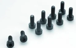 Vis Cyl. 6 Pan M2X8 Acier (10) - Gforce